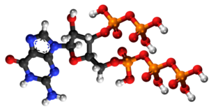 Guanozina pentafosfato