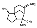 beta-cedreno