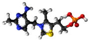 tiamina monofosfato