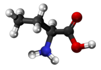 α-aminobuterata acido