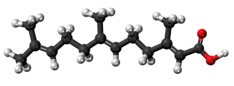 Dosiero:Farnesoic acid 3D.png