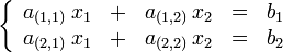 \left \{
\begin{array}{rcrcr}
a_{(1,1)} \,x_1 & + & a_{(1,2)} \,x_2 & = & b_{1} \\
a_{(2,1)} \,x_1 & + & a_{(2,2)} \,x_2 & = & b_{2}
\end{array}
\right .