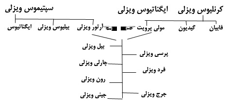 پرونده:The weasley familly tree.jpg