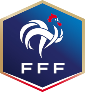 پرونده:Le nouveau logo FFF.png