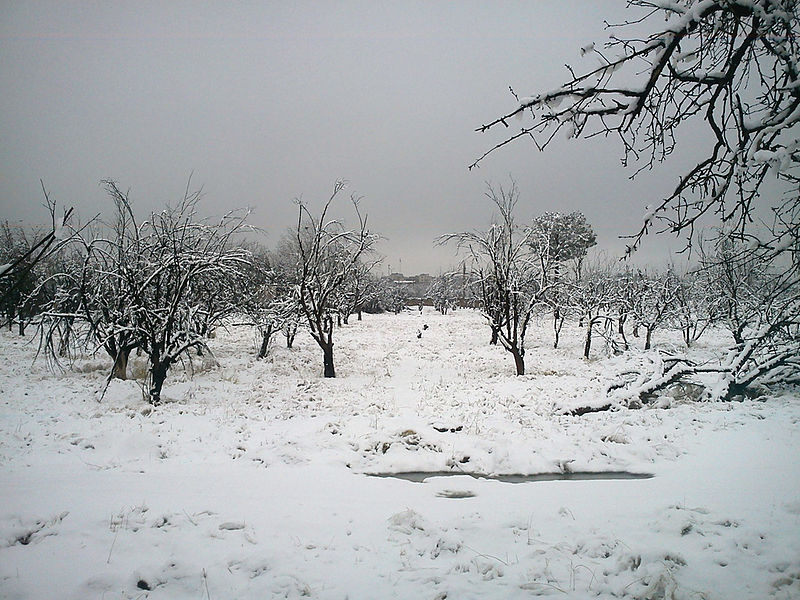 پرونده:Winter in Karaj.jpg