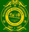 نشان رسمی Woodstock, Georgia
