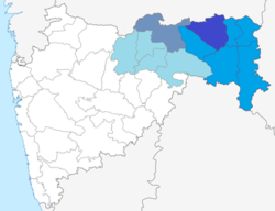 Dark Blue : Nagpur District, Blue : Nagpur Region, Grey : Amravati District, Sea Green : Amravati Region