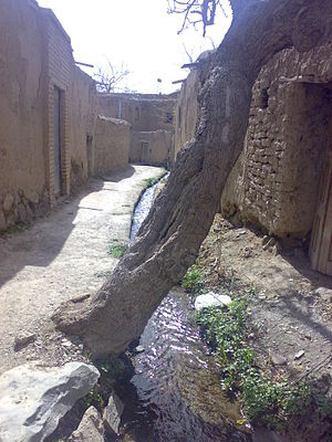 یکی از کوچه‌های قدیمی روستای نوزاد