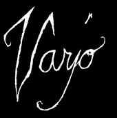 Tiedosto:Varjo logo.jpg