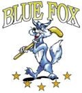 Pienoiskuva sivulle Herning Blue Fox