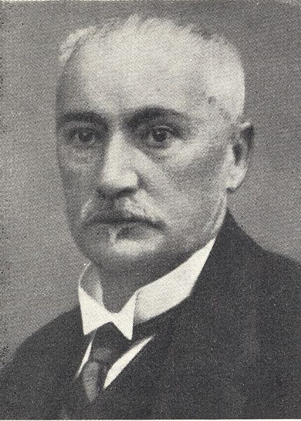 Tiedosto:Magnus Lavonius.jpg