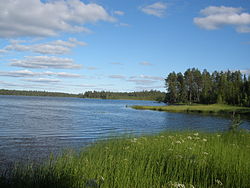 Pöyliöjärvi heinäkuussa 2010.