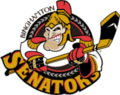 Pienoiskuva sivulle Binghamton Senators