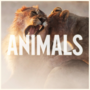 Pienoiskuva sivulle Animals (Maroon 5:n kappale)