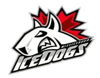 Fichier:Mississauga IceDogs.jpg