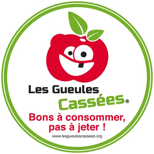 Fichier:Logo gueules cassees.jpg