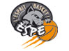 Logo du ESPE Basket