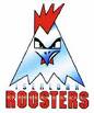 Fichier:Iserlohn roosters logo.jpg