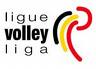 Vignette pour Championnat de Belgique masculin de volley-ball