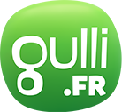 Fichier:Logo-gullifr.png