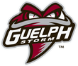 Description de l'image Guelph Storm 2018.png.