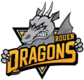 Vignette pour Rouen hockey élite 76