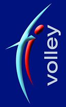 Logo du TI-Volley