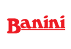 logo de Banini Kikinda