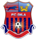 Logo du Dila Gori