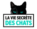 Vignette pour La Vie secrète des chats