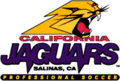 Logo des California Jaguars en 2002