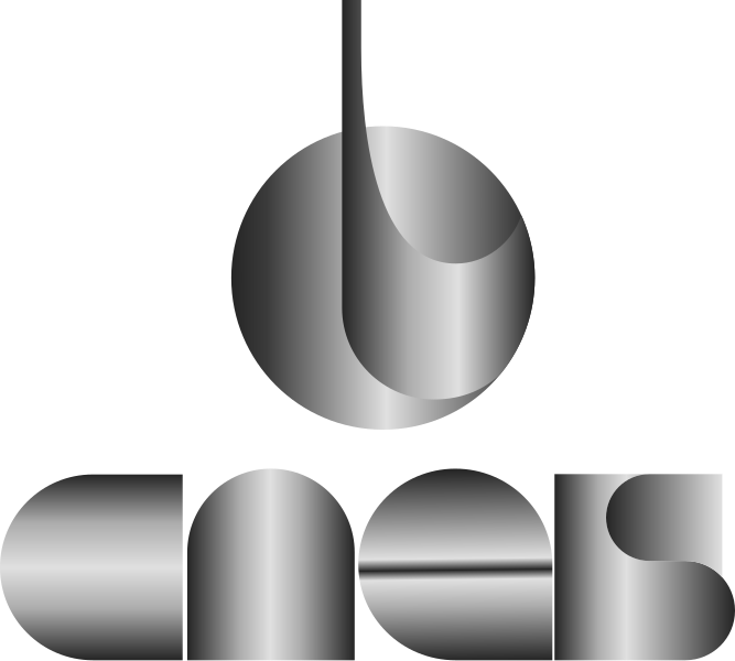 Fichier:CNES 1976-1984 Logo.svg