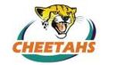130px-Cheetahs_Logo.jpg