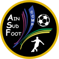 Logo jusqu'en 2019 dans lequel les couleurs des quatre clubs fondateurs apparaissent.