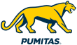 Description de l'image Logo Pumitas 2023.svg.