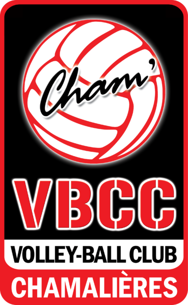 Fichier:Logo VBCCHAM.png