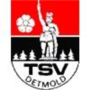 Vignette pour TSV Detmold