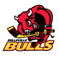 Vignette pour Bulls de Belleville