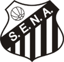 Logo du SE Nova Andradina