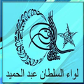 Deuxième logo de Liwa Sultan Abdülhamid en 2016.