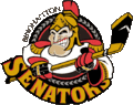 Vignette pour Senators de Binghamton