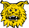 Vignette pour Ilves (hockey sur glace)