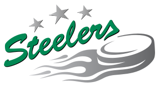 Description de l'image Bietigheim_Steelers_logo.svg.