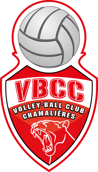 Fichier:Logo 2011 VBCCHAM.png