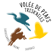 Logo de l’association