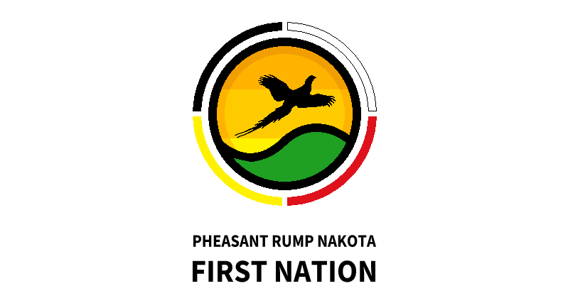 Ofbyld:Flagge fan de Pheasant Rump Nakota Earste Naasje.png