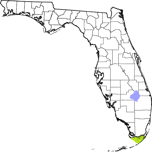 Ofbyld:Map of Florida Highlighting Florida Bay.png