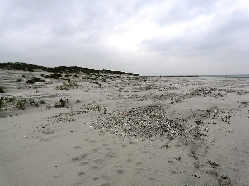 Ofbyld:R-oog Noordstrand oostrichting.JPG