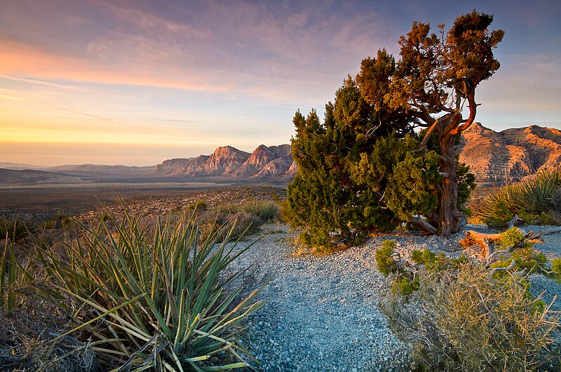Ofbyld:Red Rock Canyon NRA, Nevada.jpg