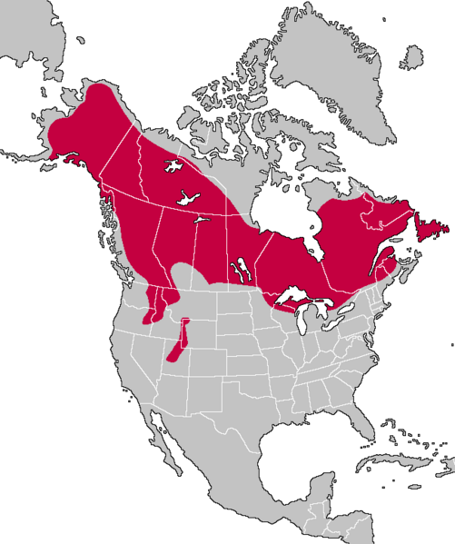 Ofbyld:Fersprieding fan de Kanadeeske lynks (Lynx canadensis).png